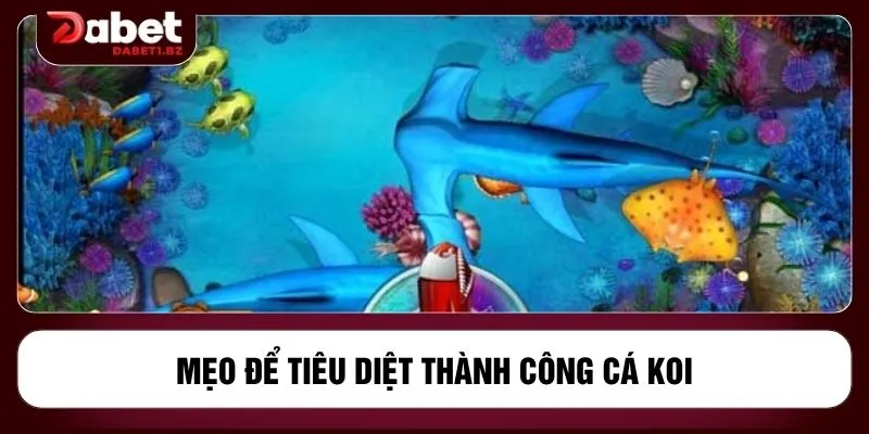 Mẹo để tiêu diệt thành công cá Koi