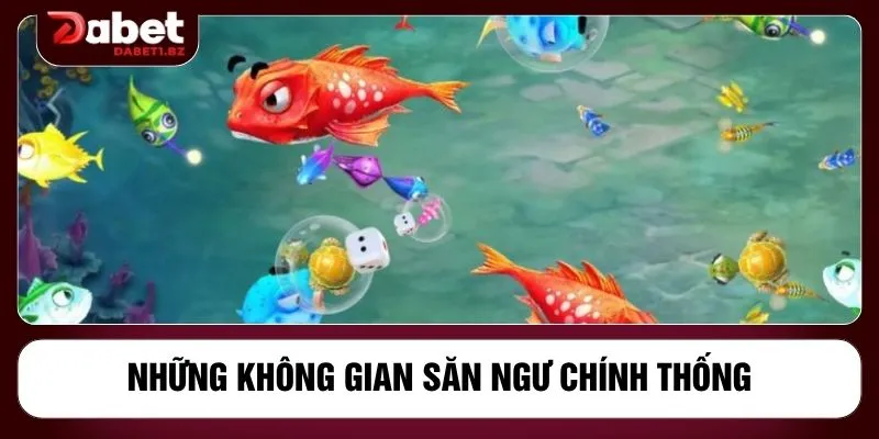 Những không gian săn ngư chính thống